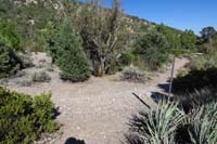 69-ShowgirlTelePhn_TJ-jct_with_Showgirl,new_quarter_mile_connector_trail_with_new_trail_markers
