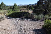 70-looking_south_from_Showgirl_Trail_showing_the_new_trail_marker
