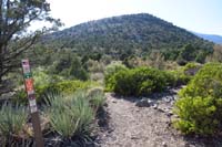 71-looking_back_towards_Telephone_Cyn_Rd_area