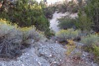 04-looking_back_to_steep_loose_slope_from_Pixie-meant_for_only_downhill
