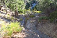 07-heading_back_up_to_steep_portion_of_Minx,no_discernible_trail_for_a_bit