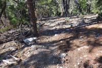 12-well_defined_section_of_trail