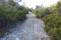 02-the_mogels_have_been_smoothed_out_due_to_years_of_mountain_bike_use