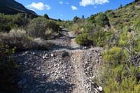 03-very_pleasant_trail,quite_smooth_and_nice_uphill_gain
