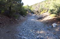 04-hiking_up_a_wash_that_hasn't_been_effected_by_prior_floods_of_area