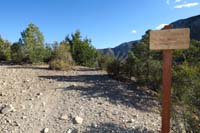 07-looking_back_to_StepShady_TJ-heading_down_Step_Ladder_Trail