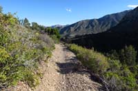 08-scenic_view_along_Step_Ladder_Trail