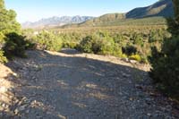 12-ShadyStep_TJ-veering_right_for_Step_Ladder_Trail