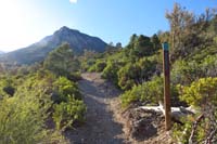 13-ShadyStep_TJ-looking_back_to_trail_sign