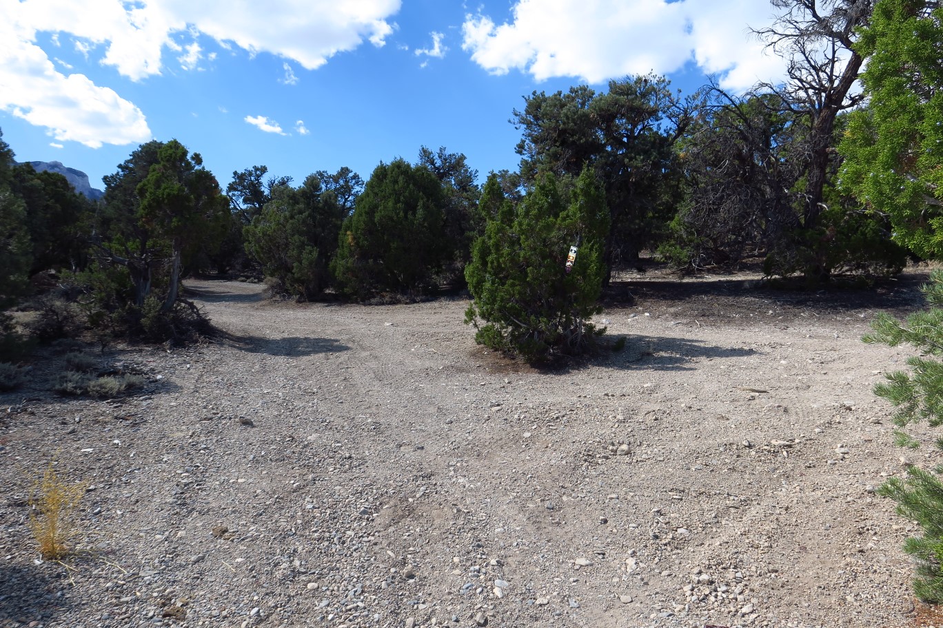 43-Blue_Tree_83-looking_back,turn_right