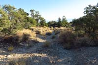 03-scenery_along_the_trail,no_evidence_of_issues_from_recent_floods