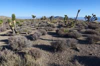 09-requires_a_keen_eye_to_follow_the_trail