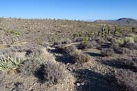 11-seems_logical_to_follow_the_rocky_slope,but_trail_is_actually_just_to_right