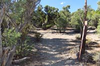 28-Rocky Gorge_47_TJ-trail_continues_ahead,R_is_Pinyon_Pine_Trail