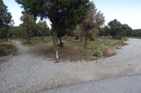 70-Sawmill_TH2_to_left,heading_down_dirt_road_to_right,then_walk_along_Lee_Canyon_Rd_back_to_car