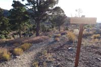 02-new_trail_sign_at_Juniper_TH_indicating_Upper_Showgirl_Trail