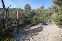 06-HikeaBikeShowgirl_TJ-Hike-a-Bike_to_right,going_left_for_Upper_Showgirl