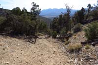 25-portion_of_the_trail_not_so_fun_since_steep_and_loose