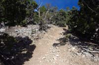 30-looking_north_up_trail_I_descended-best_for_downhill