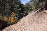 37-small_scree_slope_with_Gambels_Oak_fall_colors