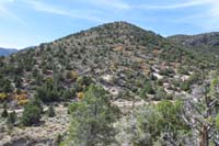 45-scenic_view_along_the_trail_with_fall_colors,Telephone_Cyn_Rd