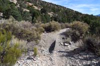 46-small_wooden_bridge_created_to_help_mountain_bikers_since_washed_out