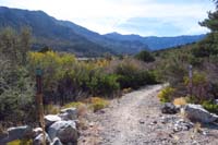 04-Step_Ladder_Trail_markers