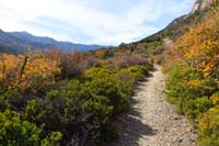 05-pretty_fall_colors_along_the_trail
