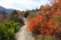 06-pretty_fall_colors_along_the_trail