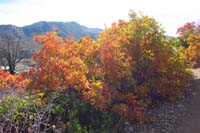 07-pretty_fall_colors_along_the_trail