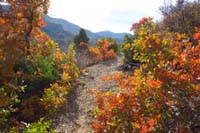 08-pretty_fall_colors_along_the_trail