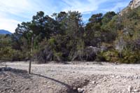 12-Step_Ladder_WP-trail_turns_up_dirt_road_to_right