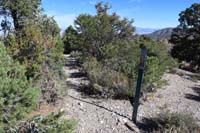 10-anotther_new_carsonite_sign_along_the_trail_which_is_somewhat_hard_to_ascertain