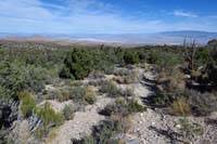 15-scenic_view_along_the_trail_with_distant_desert_views