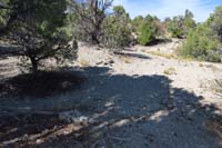 23-looking_NW_to_continuation_of_trail,came_from_left
