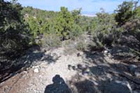 26-trail_used_to_go_right_in_2020,but_no_longer_exists,trail_continues_to_left