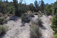 28-looking_back_to_area_where_another_none_existent_trail_would_merge_together,no_sign_of_other_trail