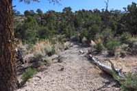33-heading_up_the_alternate_trail_to_loop_back_around