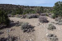 40-Deer_Creek_77-trail_used_to_travel_N,but_now_gone,alternate_trail_is_primary(E-W)