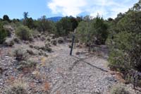 45-another_new_carsonite_sign-provides_indication_proper_trail
