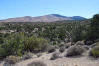 50-scenic_view_looking_back_to_Mahogany_Fire_in_distance