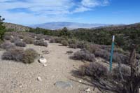 51-Deer_Creek_78-trail_is_ahead(N),used_to_be_right(S),new_carsonite_sign_at_bad_angle