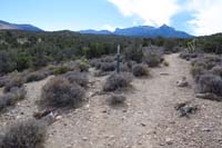 54-Deer_Creek_78_after_moved_debris_to_block_alternate_trail_better