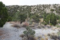 60-approaching_Blue_Tree_62_TJ-junction_for_Blue_Tree_Trail