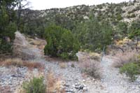 61-Blue_Tree_62_TJ-junction_for_Blue_Tree_Trail_up_canyon(W)_and_towards_wash(N)
