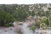 62-Blue_Tree_62_TJ-looking_N_towards_wash