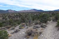 65-heading_back_after_lunch,scenic_view_looking_back_to_Mahogany_Fire_in_distance