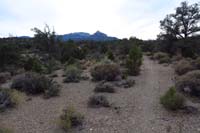 66-scenic_view_along_the_trail_of_Mummy_Mountain