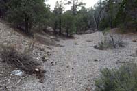 67-traveling_up_a_wash,trail_is_a_little_faint,but_noticeable_with_keen_eye,not_for_beginners