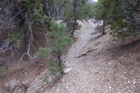 68-Deer_Creek-reassure02-trail_becomes_a_wash,then_meanders_in_and_out_of_that_wash